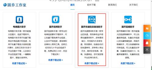 拼多多淘寶電商批量追蹤查詢(xún)快遞物流信息實(shí)戰(zhàn)指南與信息咨詢(xún)服務(wù)解析